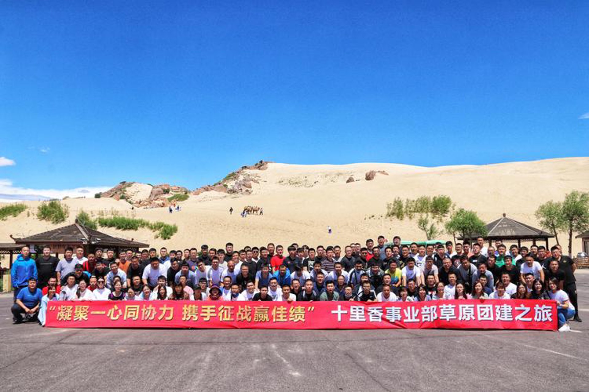如何高效利用学习问答平台