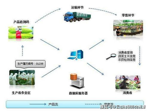 企业的二维码溯源系统是如何搭建的呢